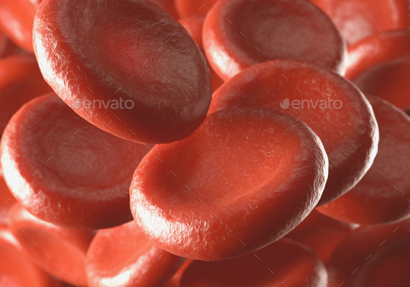 Red Blood Cells - Stock Photo - Images