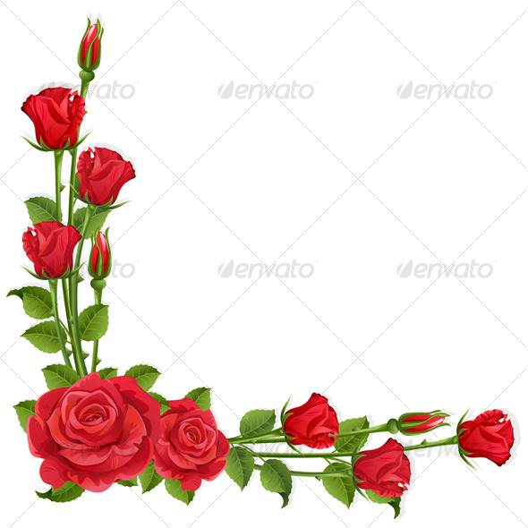 Roses - Flowers & Plants Nature