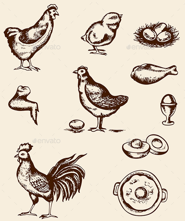 Chicken and Eggs - Food Objects