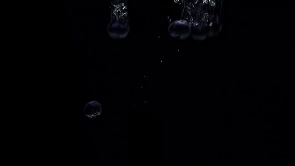 Blueberries Fall Floating in Water alt