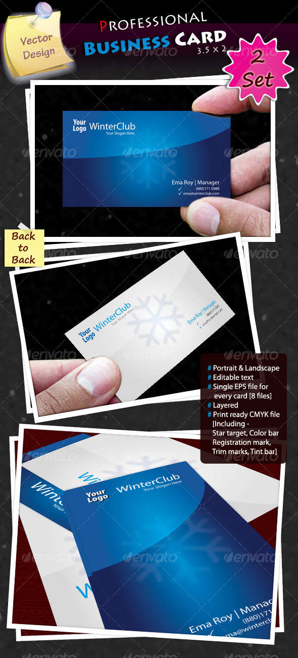 Professional Business Card - Corporate Business Cards