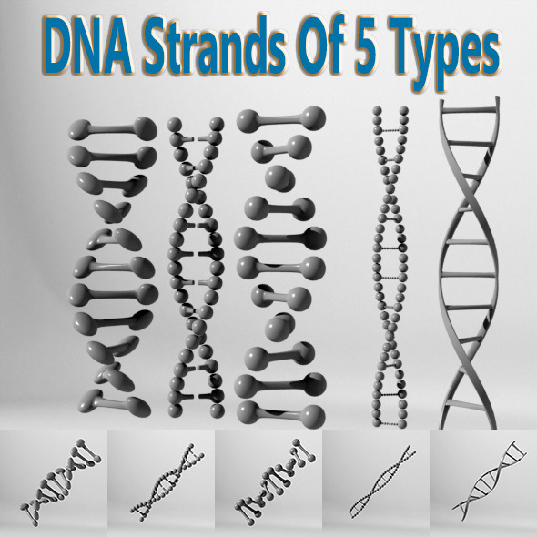 DNA Strands Of - 3Docean 10290229