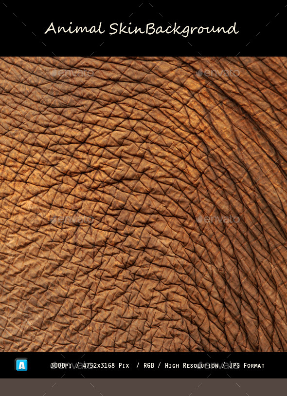 Animal Skin Texture 0101 - Textures