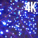 Tree and Blue Lights 2 - VideoHive Item for Sale