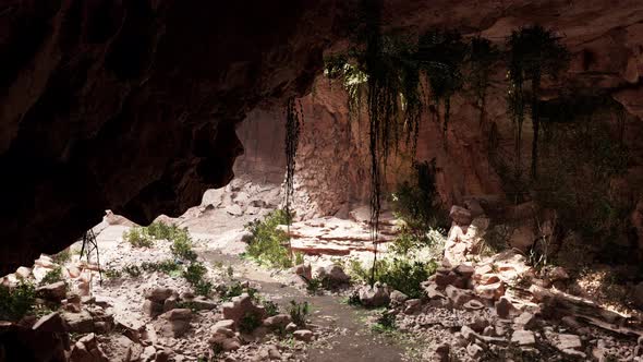 View From Inside a Dark Cave with Green Plants and Light on the Exit alt