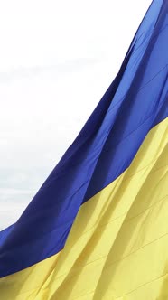 Vertical Video National Flag of Ukraine By Day alt
