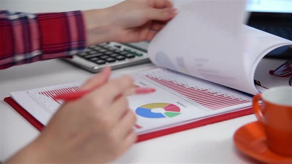 Accountant Woman Calculates Earnings