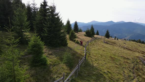 Two girls walking through the pine woods in the mountains