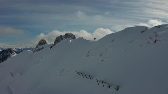 Drone flying over two skiers preparing to go down snow covered slope and revealing a beautiful valle alt