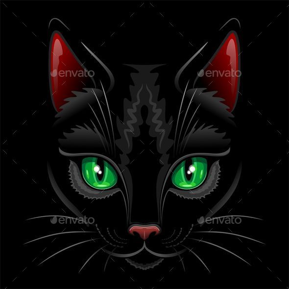 Black Cat Portrait - Animals Characters