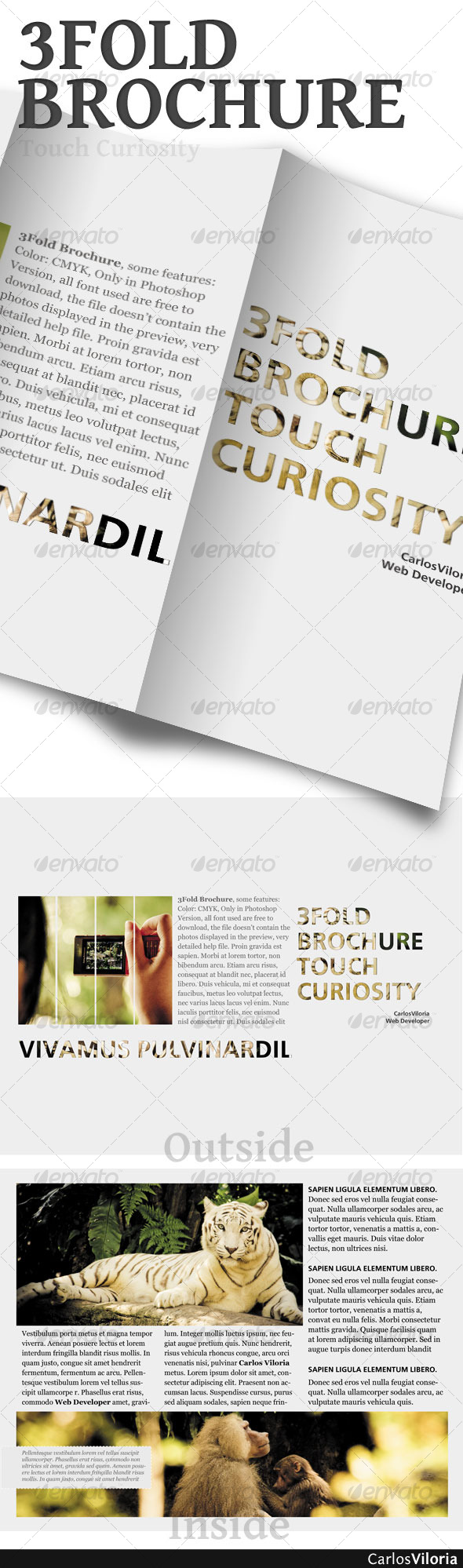 3 Fold Brochure - Corporate Brochures