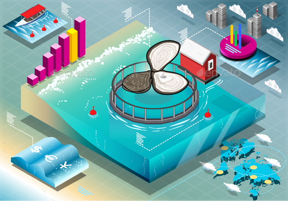 Isometric Infographic of Breeding Oysters - Food Objects