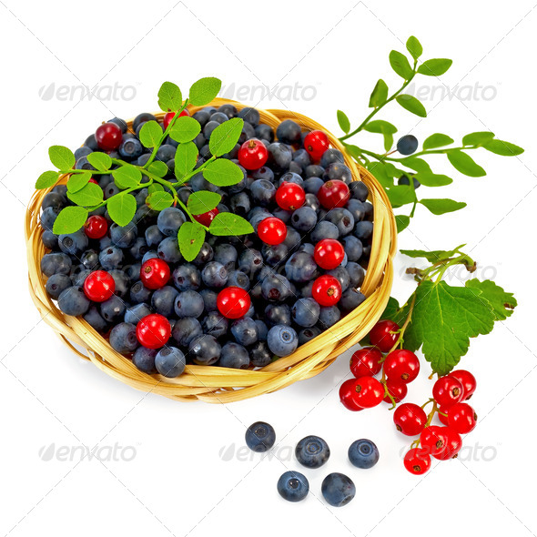 Blueberries with red currants - Stock Photo - Images