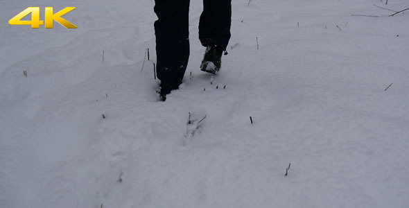 Man Walks Through the Snow