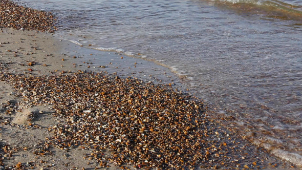 Sea Waves on the Shoreline