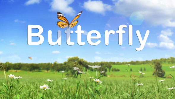 Butterfly Logo Reveal - VideoHive 10228664