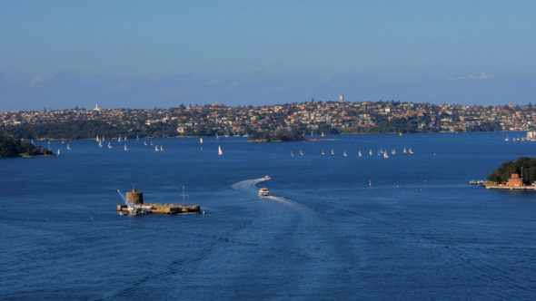 Regatta, Sydney Harbour, Fort Denison
