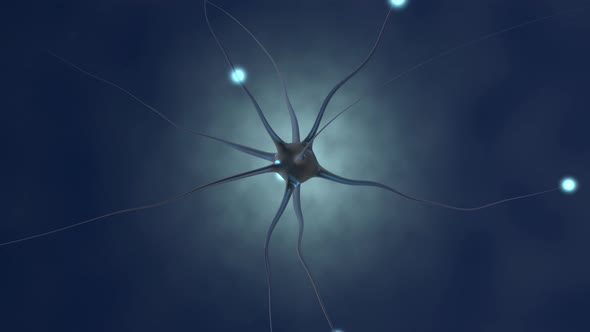 3D rendered Animation of a neural cell