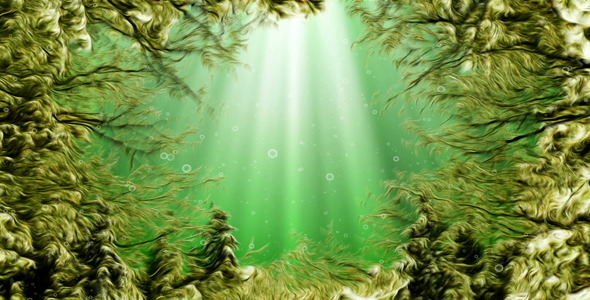 Under Water Seaweed