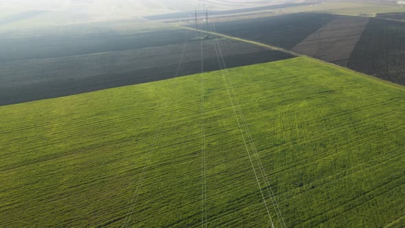 Aerial View of Agricultural Land with Young Spring Wheat with High Voltage Pillars alt