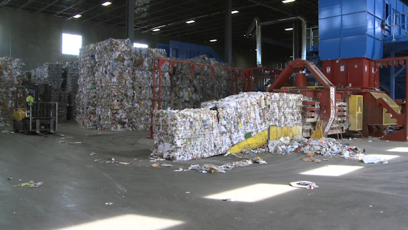Forklift Removing Compacted Recyclables (1 Of 1)