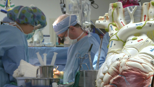 Model Of Heart With Surgical Team In Background (4 Of 4)