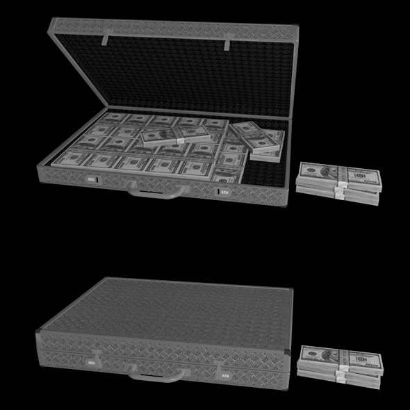 Briefcase with Money - 3Docean 10349485