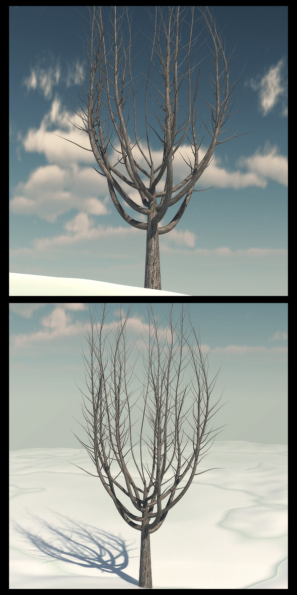 Winter Tree 1 - 3Docean 10351488