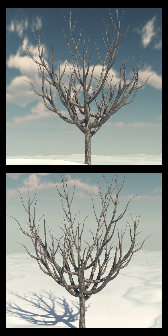 Winter Tree 2 - 3Docean 10351828