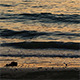 Sunset Wave 01 - VideoHive Item for Sale