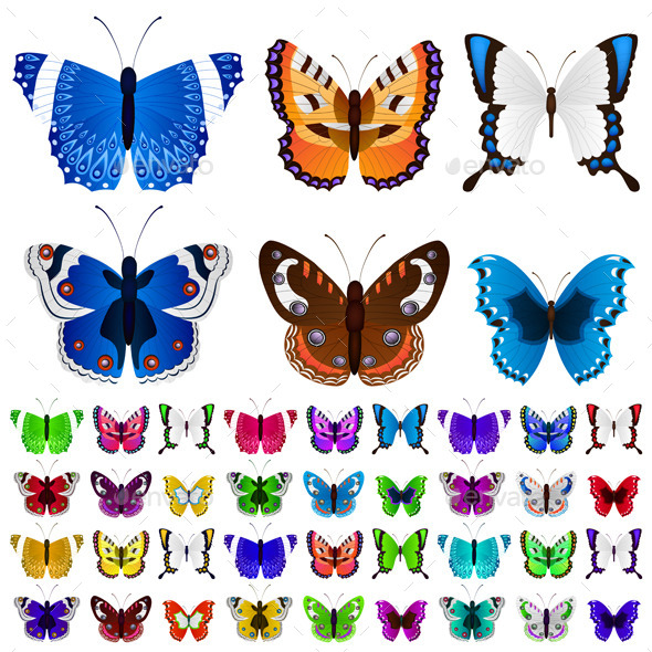 Set of Colorful Butterflies - Nature Conceptual