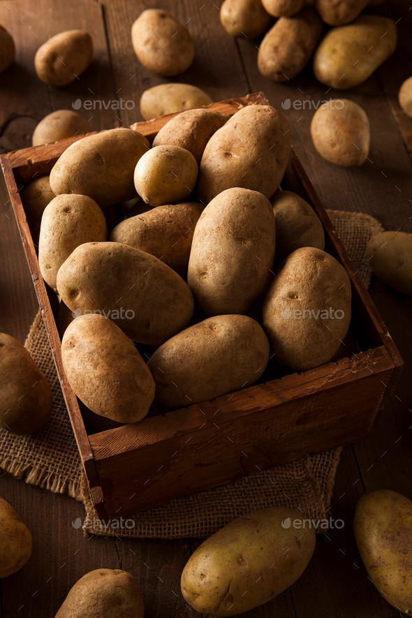 Raw Brown Organic Bosc Pears Stock Photo by bhofack2