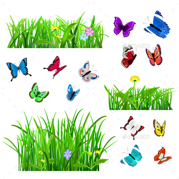 Green Grass and Butterflies - Flowers & Plants Nature