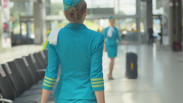 Back View of Slim Stewardess in Blue Uniform Walking To Colleague in Airport Terminal. Happy Young alt