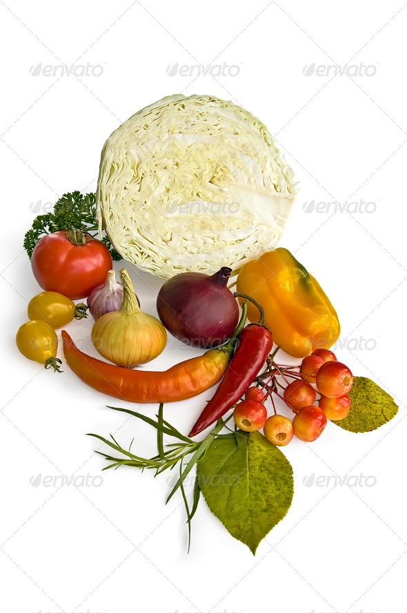 Cabbage and Vegetables - Stock Photo - Images