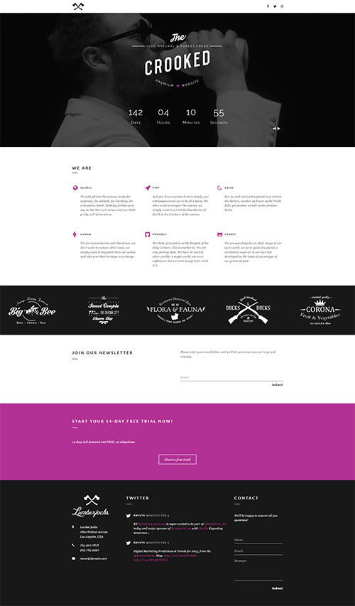 contact 7 form mailchimp Coming Template Crooked by Lumberjacks Responsive  Soon