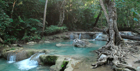 Wild River Jungle alt