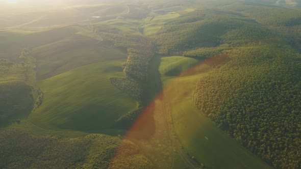 Aerial View of Forest at Sunrise alt