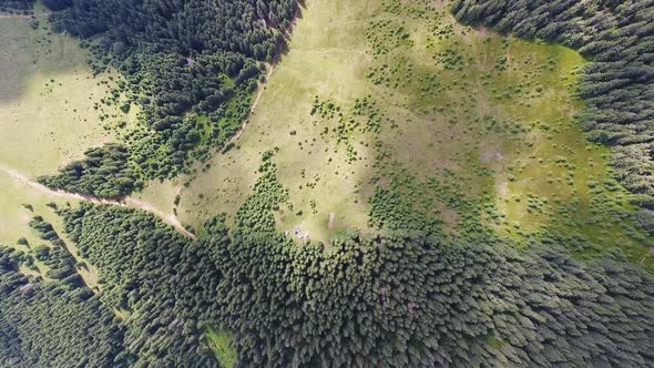 Aerial Shot Mountain Forest with Camp