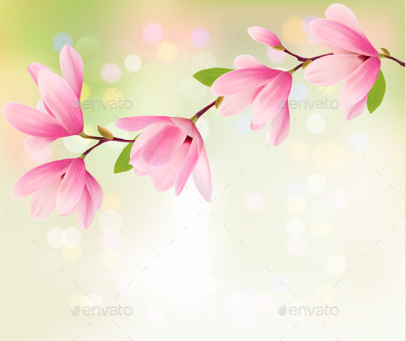 Spring Background with Blossom of Flowers - Flowers & Plants Nature