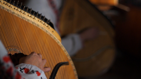 Ukrainian Folk Musical Instrument 9