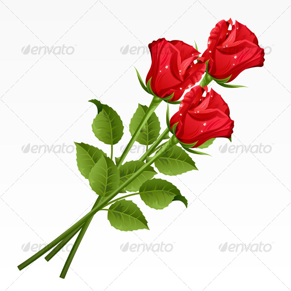Roses - Characters Vectors