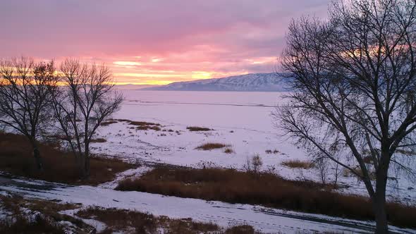 Flying through trees towards colorful sunset over Utah Lake in the winter alt