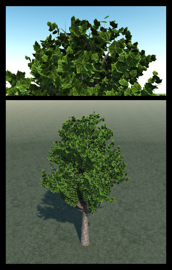 Green Tree - 3Docean 10397919