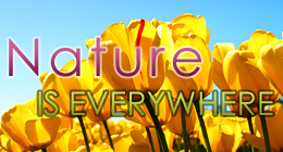 Nature is everywhere