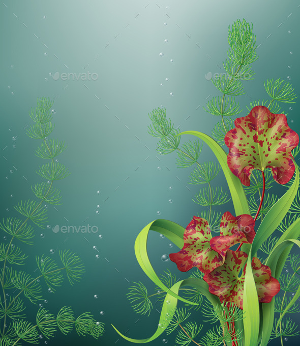Underwater Background - Flowers & Plants Nature