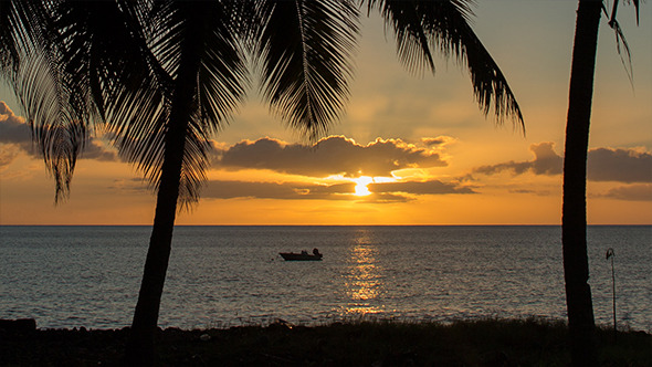 Tropical Sunset