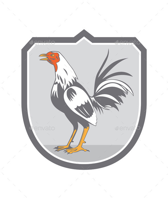 Cockerel Rooster Standing Retro Shield - Animals Characters
