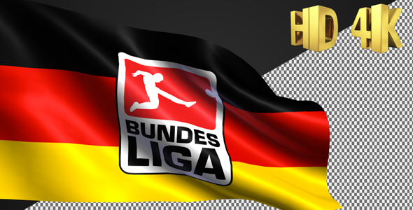 Bundesliga Flag