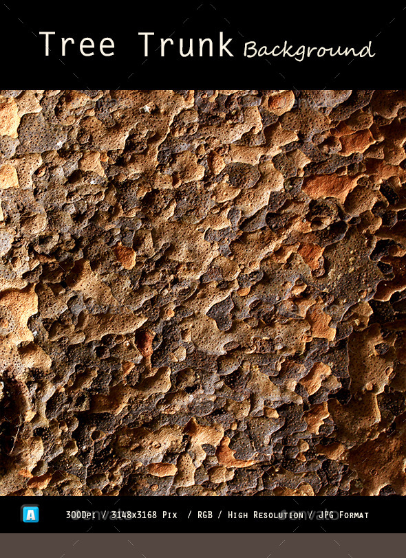 Tree Trunk Texture 0108 - Wood Textures